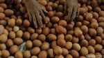Begini Anomali Harga Telur Jelang Akhir Tahun