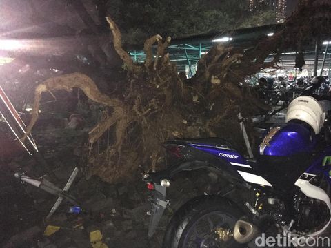 Camat Kembangan mengatakan ada 18 pohon tumbang