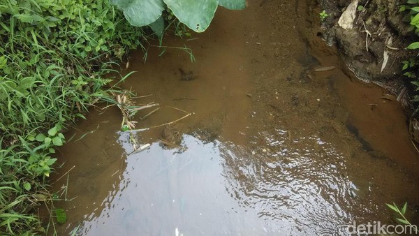 Jika musim hujan, tanah basah akan menyulitkan pengunjung karena licin. Oleh sebab itu, disarankan untuk mengunjungi situs tersebut pada musim kemarau. Adapun fasilitas mulai dari musala hingga toilet umum sudah tersedia di sana. (Rachmadi Rasyad/detikTravel) Jika musim hujan, tanah basah akan menyulitkan pengunjung karena licin. Oleh sebab itu, disarankan untuk mengunjungi situs tersebut pada musim kemarau. Adapun fasilitas mulai dari musala hingga toilet umum sudah tersedia di sana. (Rachmadi Rasyad/detikTravel)