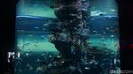 Foto: Singapura Memindahkan Dunia Bawah Laut ke Daratan