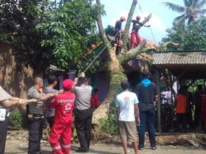 Puluhan Rumah Rusak Akibat Puting Beliung di Cianjur