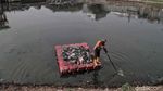 Begini Kondisi Lingkungan Akibat Buang Sampah Sembarangan