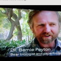 Ahli biologi beruang mungkin masih masuk akal. Tapi ahli paperfolder atau pelipat kertas tampaknya terlalu aneh untuk dijadikan sebuah pekerjaan. Foto: istimewa