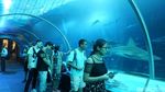 Foto: Singapura Memindahkan Dunia Bawah Laut ke Daratan
