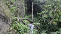 Ada cerita turun temurun, bahwa Watu Bahan tersebut ada untuk pembangunan candi yang gagal dilakukan di suatu tempat (Robby Bernardi/detikTravel)