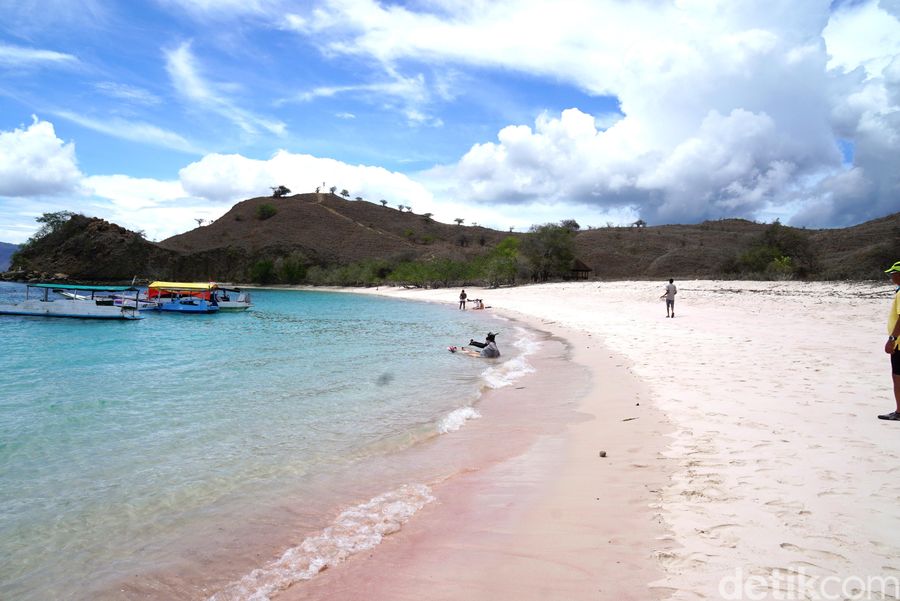 Foto Pantai Pink Sungguhan Ada Di Indonesia Foto 4