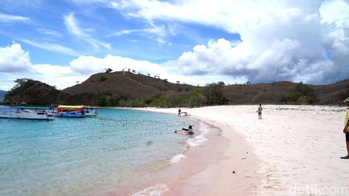 Pantai Pink di TN Komodo