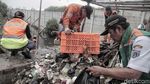 Pasukan Oranye Berjibaku Bersihkan Sampah di Hutan Mangrove