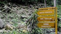 Di kawasan wisata ini juga ada objek lainnya seperti air terjun (Robby Bernardi/detikTravel)