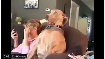 Lewat meme ini, seorang Liverpudlians menganalogikan ketegangan saat nonton pertandingan lawan Napoli. (Foto: Internet/Twitter)