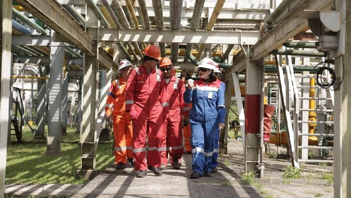 Pertamina Hulu Energi (PHE)