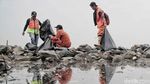 Pasukan Oranye Berjibaku Bersihkan Sampah di Hutan Mangrove