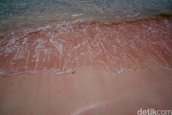 Warna pink menyala saat matahari bersinar terang, dengan deburan ombak yang sejuk (Shinta/detikTravel)