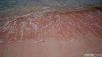 Foto: Pantai Pink Sungguhan Ada di Indonesia