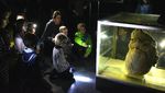 Foto: Museum untuk Penggila Mahluk Purba dan Sains