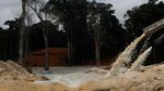 Brasil Tutup Tambang Ilegal yang Ancam Hutan Amazon