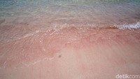 Di saat tertentu, memang warna pink tidak terlalu kelihatan. Namun, masih tetap cantik dipandang (Shinta/detikTravel)