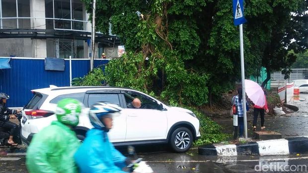 Dahan tumbang menutup badan jalan. Namun kendaraan masih bisa melintas