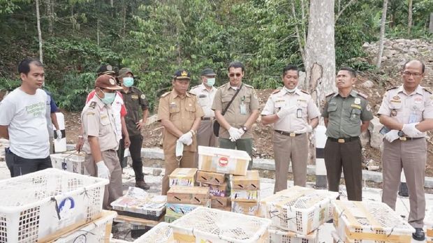 Ribuan burung diseludupkan ke Jakarta dari Lampung