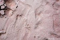 Butiran pasir pink (Shinta/detikTravel)