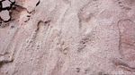 Foto: Pantai Pink Sungguhan Ada di Indonesia