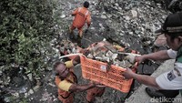 Petugas berjibaku membersihkan sampah.