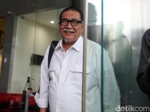 Demiz Lapor Jokowi soal Meikarta: Pak, Menteri Bapak Main Bola Panas