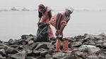 Pasukan Oranye Berjibaku Bersihkan Sampah di Hutan Mangrove