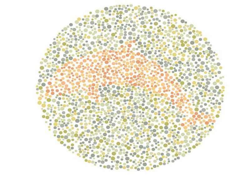 Buta Warna atau Tidak? Tes Mata Kamu Lewat Gambar Berikut