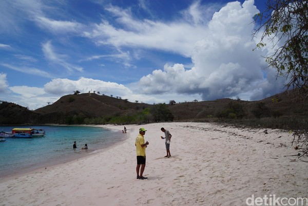 Inilah Pantai Pink atau Pink Beach, letaknya berada di Taman Nasional Komodo, Flores, Nusa Tenggara Timur (Shinta/detikTravel)