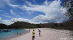 Foto: Pantai Pink Sungguhan Ada di Indonesia