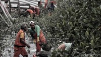 Dengan peralatan seadanya, petugas terus membersihkan sampah yang menumpuk.