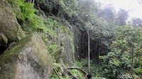 Formasi batu yang tampak seperti tebing (Robby Bernardi/detikTravel)