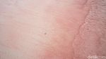 Foto: Pantai Pink Sungguhan Ada di Indonesia