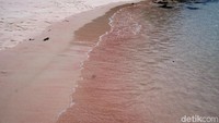 Buat kamu yang jawab Pantai Pink di TN Komodo, selamat! Sudah pernah ke sana belum? (Shinta/detikTravel)