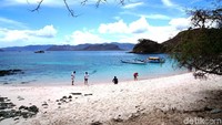 Indonesia punya banyak pantai yang pasirnya berwarna pink salah satuny ada di Taman Nasional Komodo. Jaraknya hanya 30 menit dari Loh Liang (Shinta Angriyana/detikTravel)