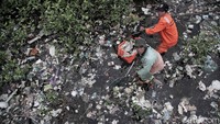 Sejumlah petugas gabungan dari Sudin LH Kecmatan Cilincing, PPSU Kelurahan Marunda dan UPK Badan Air membersihkan sampah di kawasan mangrove, Marunda, Jakarta Utara, Rabu (12/12).