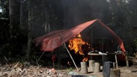 Proses penertiban dilakukan dengan membakar berbagai alat tambang dan tempat tinggal para penambang di sekitar area pertambangan ilegal tersebut. Para penambang ilegal itu pun ditahan oleh agen khusus untuk dimintai keterangan lebih lanjut.