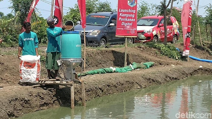 Foto: Sudirman Wamad Foto: Sudirman Wamad