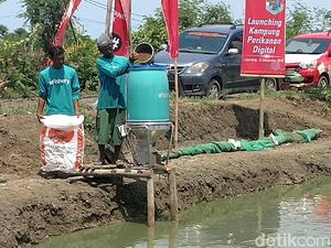 Ekonomi Rontok Kena Dampak Corona, Bagaimana Bisnis Budi Daya Ikan?