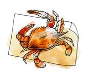 Biar Puas Makan Dagingnya, Ikuti Cara Mengupas Kepiting Ini