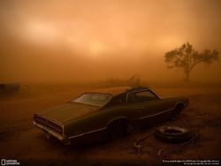 Deretan Jawara Kontes Foto National Geographic 2018