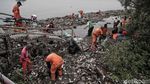 Pasukan Oranye Berjibaku Bersihkan Sampah di Hutan Mangrove