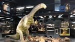 Foto: Museum untuk Penggila Mahluk Purba dan Sains