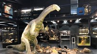 Namanya Museum Kulturama. Museum ini berada di Zurich, Swiss. (Kulturama Museum des Menschen/Facebook)