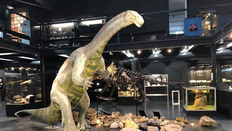 Museum Kulturama di Swiss (Kulturama Museum des Menschen/Facebook) Museum Kulturama di Swiss (Kulturama Museum des Menschen/Facebook)