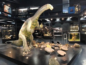 Museum Ini Ungkap Evolusi Mahluk Bumi Selama 600 Juta Tahun