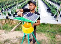 Berhenti Jadi Karyawan, 4 Pria Ini Pilih Jadi Petani Cabai