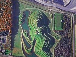 Deretan Citra Satelit Bumi yang Bikin Mata Terpukau