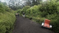 Keberadaan Taksi Ijen ini pun dapat menjadi solusi bagi sejumlah wisatawan yang kelelahan atau tak mampu mendaki puncak Gunung Ijen.
